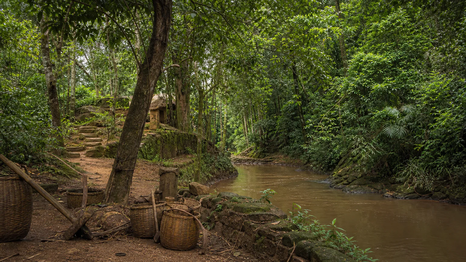 AI-generated evidence-guided visualization related to Osun-Osogbo Sacred Grove, c. 1600-present.